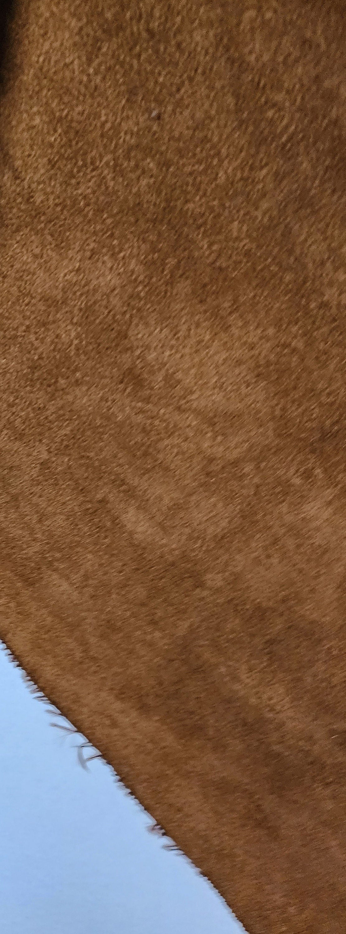 Microfiber Suede Rust  Upholstery Fabric 58" Width Sold By The Yard